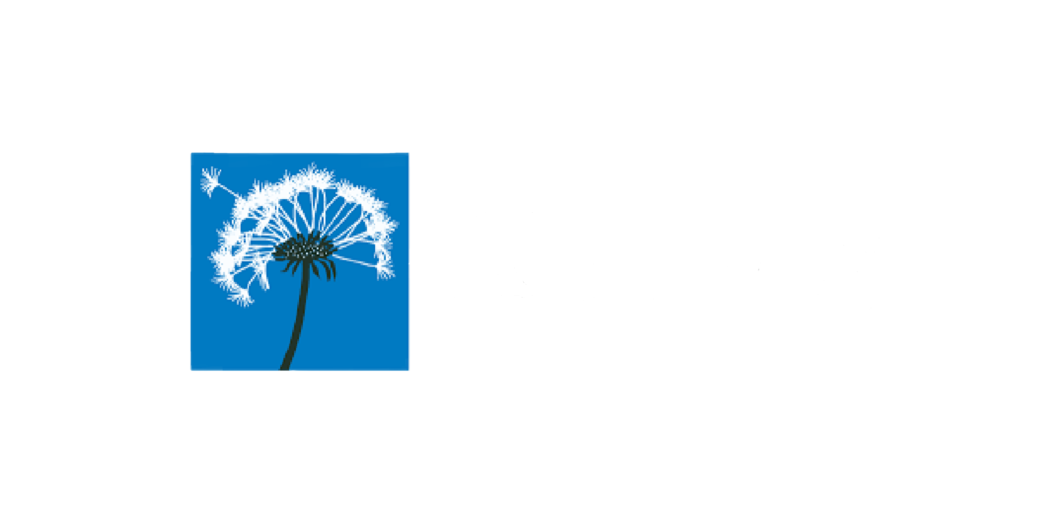 Koteng_hvit logo